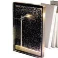 DIY Winter Snow Scene Night Light – Create Your Own Magical Christmas Display - Caligula sphere